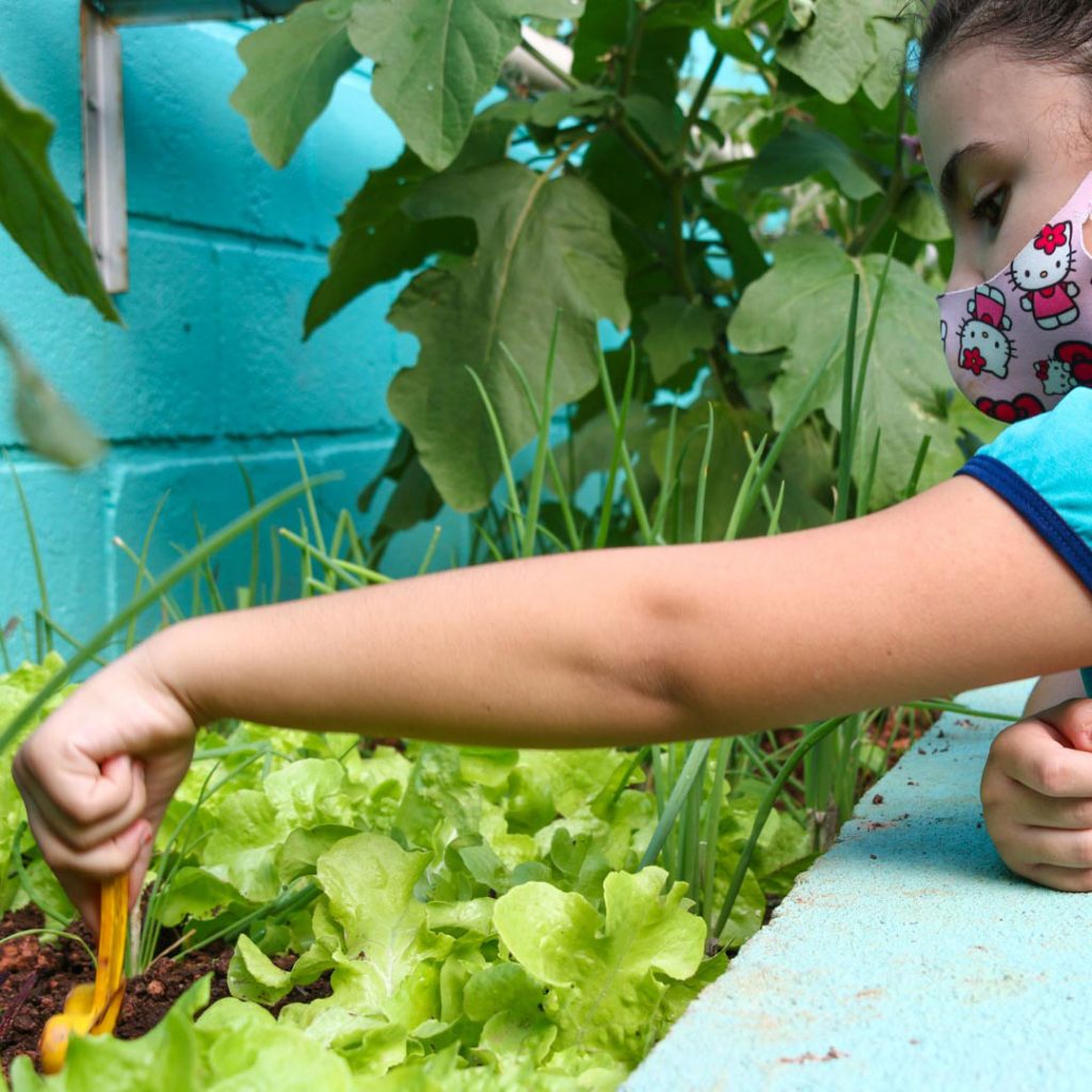 Educação Infantil 4